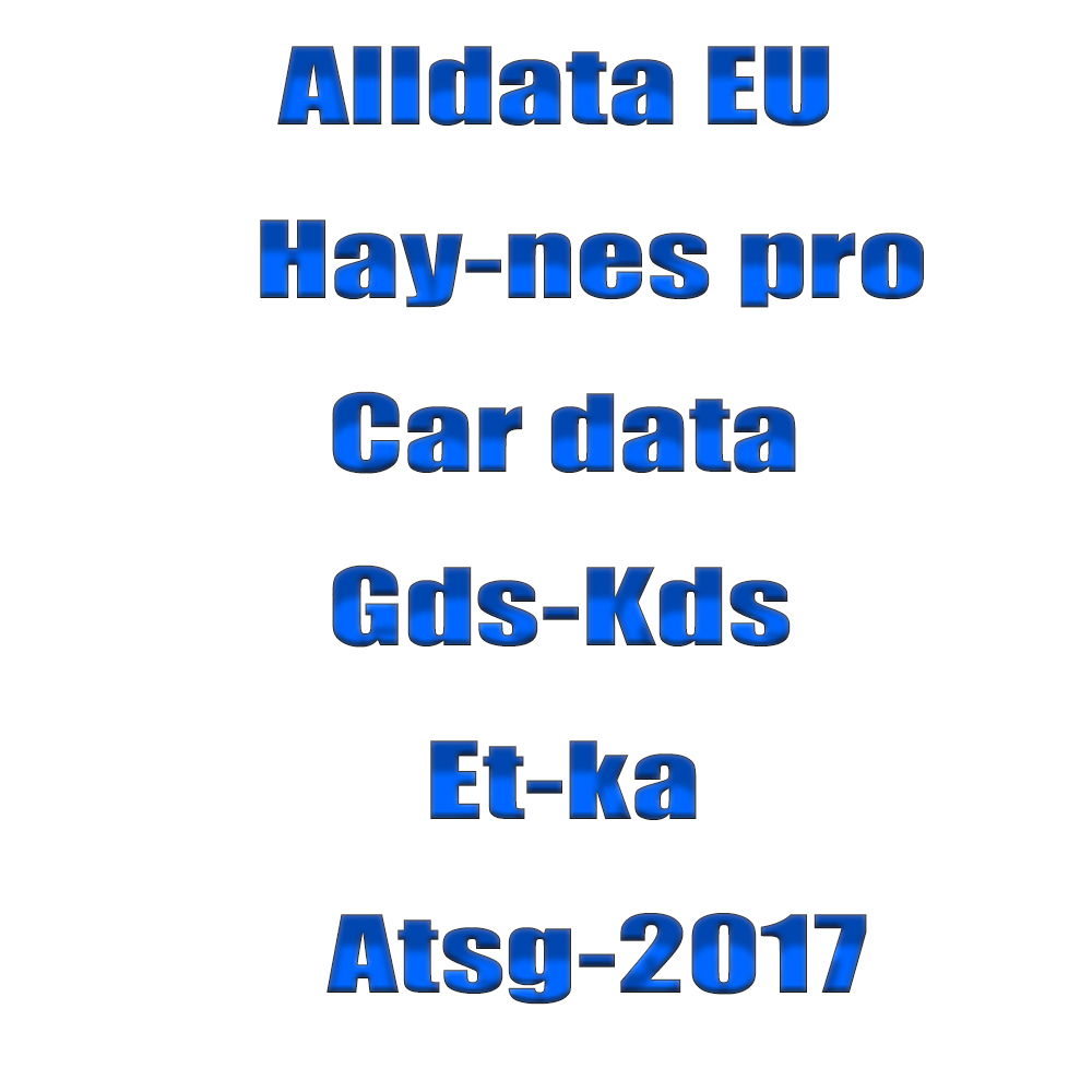 Workshop Tools Online - Alldata EU US: Software Online Più