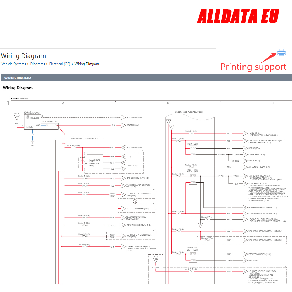 Alldata Riparazione UE La più  - Workshop Tools Online recensione e prezzo