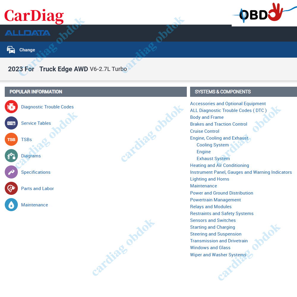 Software Online Alldata USA 20 - Workshop Tools Online recensione e prezzo