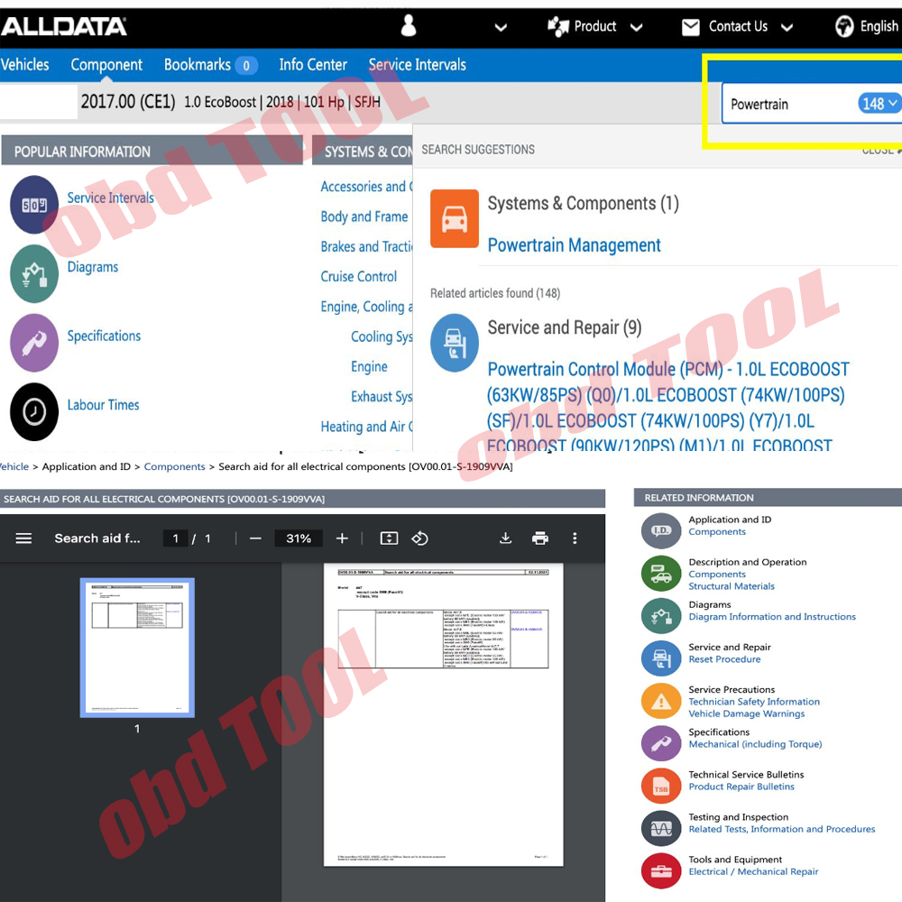 Account Online ALLDATA EU 2027 - Workshop Tools Online recensione e prezzo